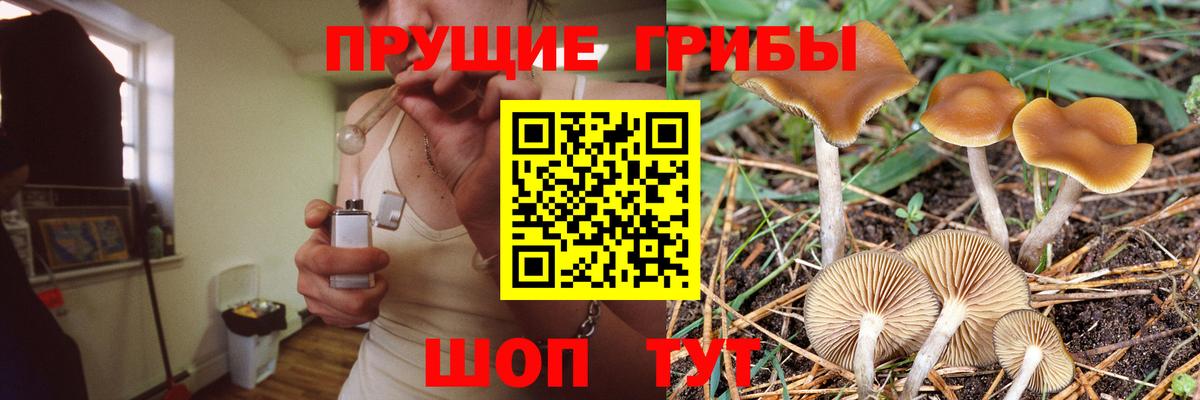 Бахчисарай  где можно купить   Вход с VPN  Псилоцибиновые грибы GOLDEN TEACHER  Псилоцибиновые грибы мицелий 